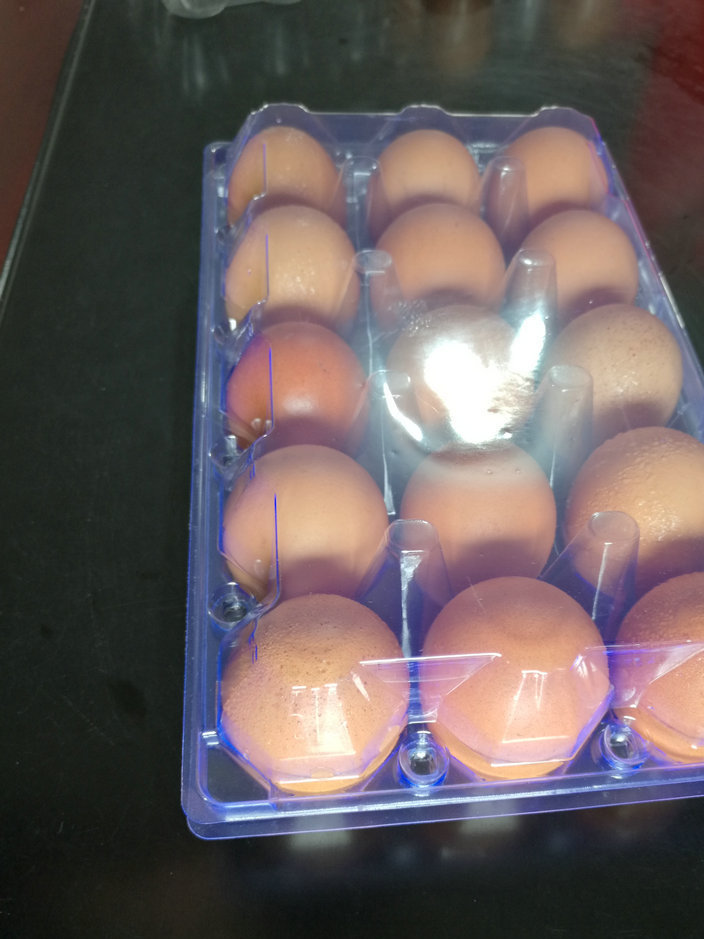 巢湖蛋类包装