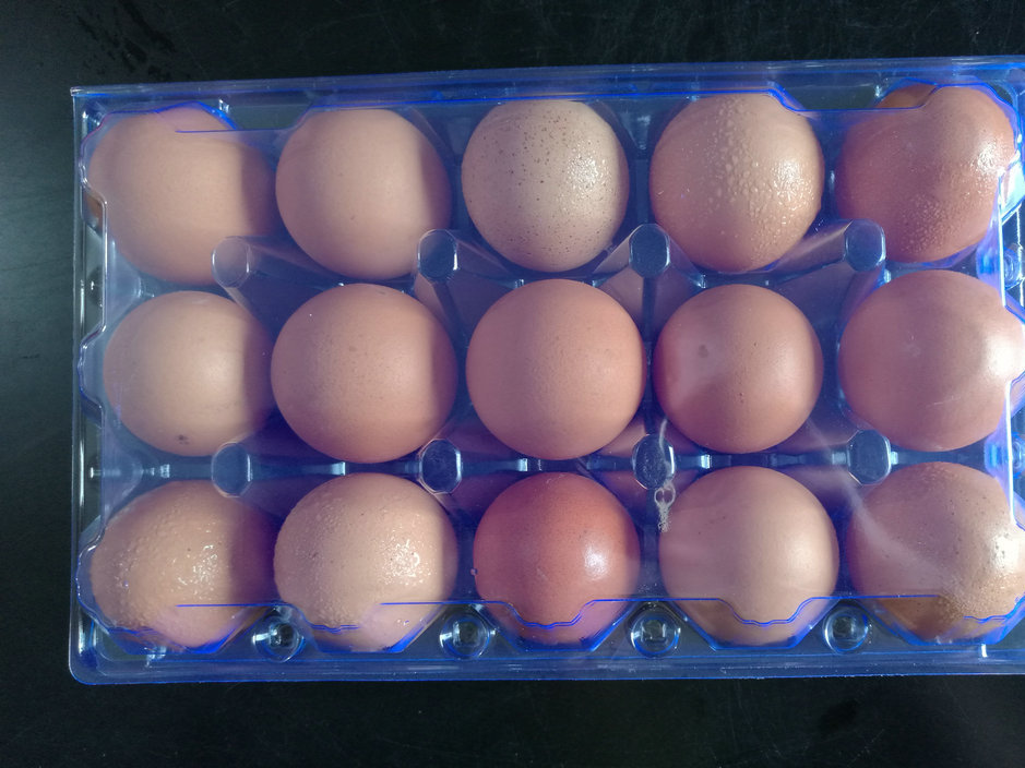 巢湖鸡蛋包装1